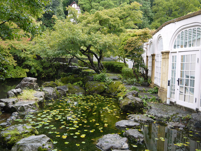 �r�̂���f�G�Ȃ���_�A�T�q�r�[����R��R�����p��