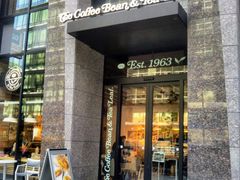 usãR[q[r[eB[[t{꒚ړXւ̓eʐ^1