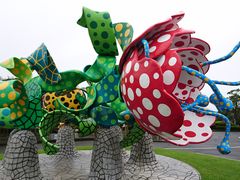 �₷�悳��̎������������A�[�g�̐X�ւ̓��e�ʐ^1