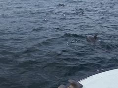 VόCJEHb`O htBN[Y̎ʐ^1