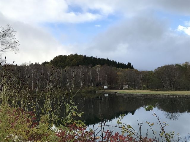 �����ƂȂ��Ă鐴���P�r_�����P�r