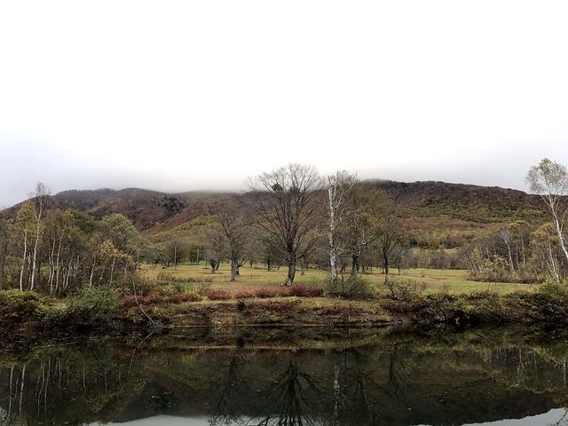 �H�̎�Z�������P�r_�����P�r