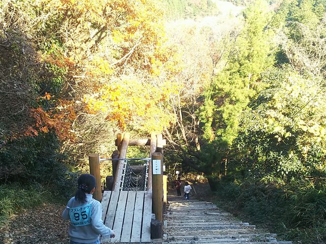 �i�F���ǂ�_�l���s�X�|�[�c�����h