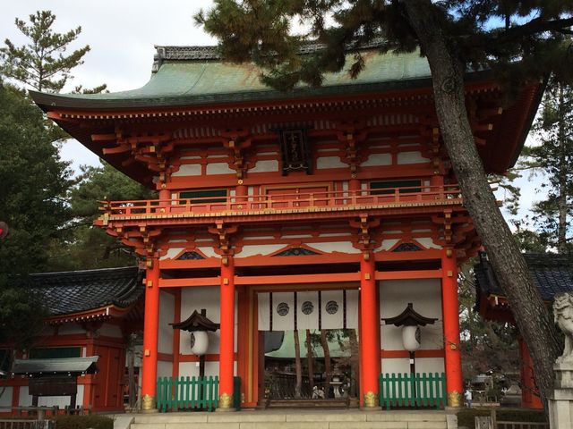 ���{�_��_���{�_��