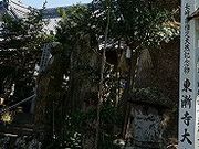 �t���X�s�[�h����̓��Q���̑�N�X�̓��e�ʐ^1