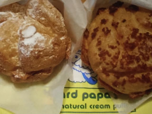 }J̃rA[hEpp }VXiBeard Papaj̓eʐ^1