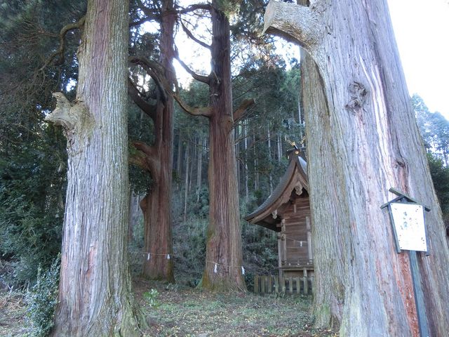 ނ炳񂳂̍Xh_Ђ̓eʐ^2