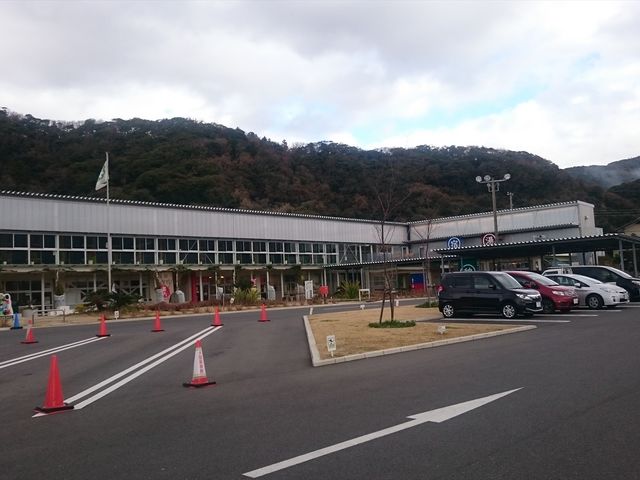 �S�i_���̉w �ۓc���w�Z