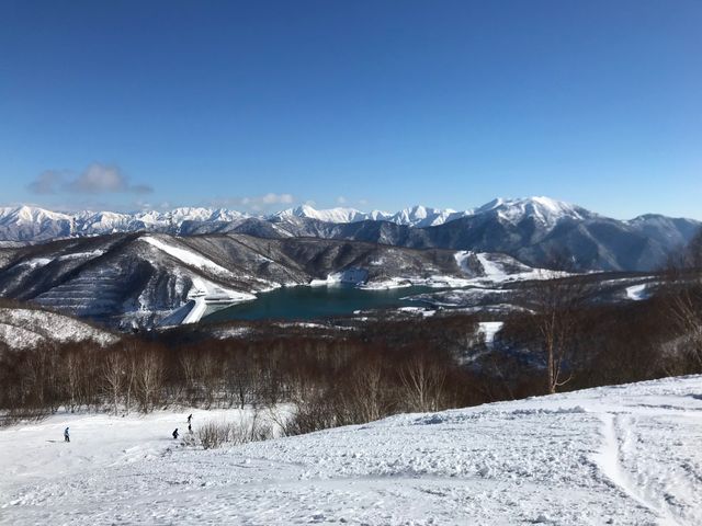 �R�[�X����c��΂������낷�l�q_������X�L�[��