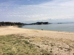 �Ƃ�����̌����̕l�ւ̓��e�ʐ^1