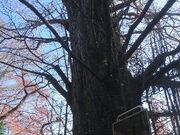 e񂳂̉q_Ёiqj̓eʐ^4