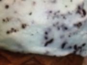 ~ÑT[eBACXN[AIX̓eʐ^1