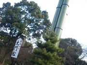 ڗ̑啪썑_Ђ̓eʐ^1