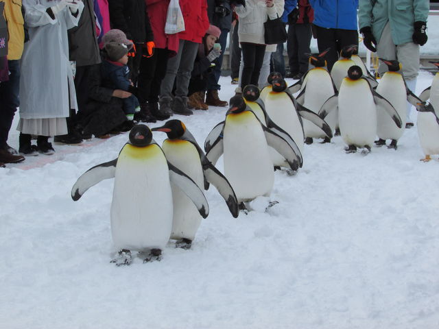 �肪�͂������i�G���Ă͂����܂���j�Ō����܂�_���R������