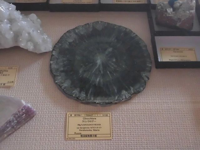 �D_���Q�z���W����