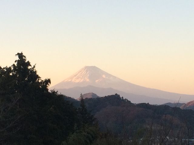 ��m���򂩂璭�߂�x�m�R_��m����