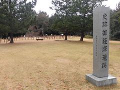 ڂ肳̌oˎjՌւ̓eʐ^1