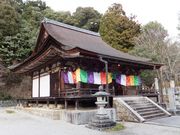 ڂ炳̊ϕ񎛁ij̓eʐ^4