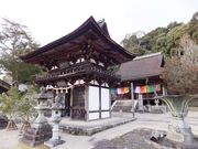 ڂ炳̊ϕ񎛁ij̓eʐ^6