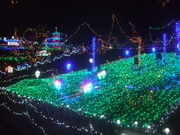 񂿂񂳂̍mR^̓eʐ^1