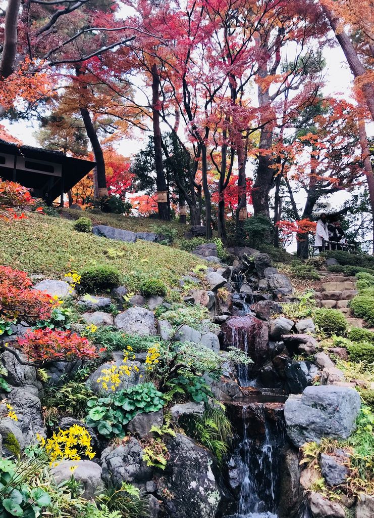 都立殿ケ谷戸庭園