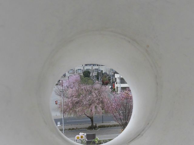 �D_�F�s�{�隬����