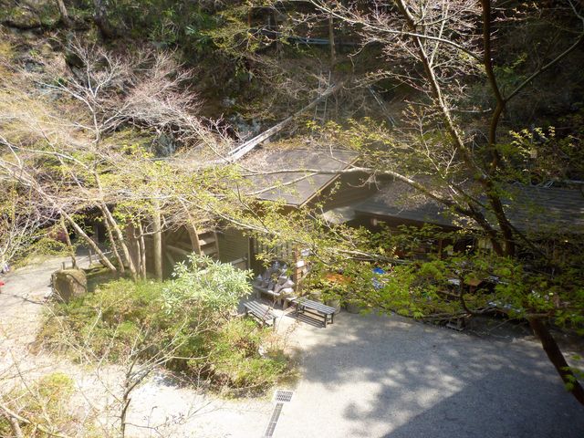 2017N4Bejvqu҂̑E݂v_݂