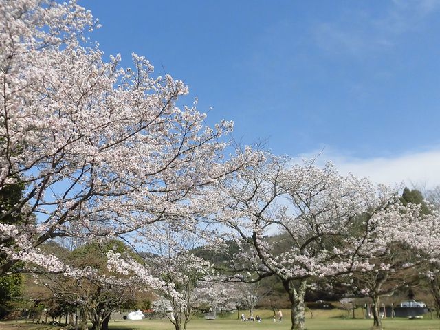 �@_���������