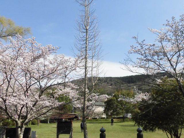 �B_���������