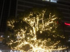 �J�g�[����̂i�q���É��w�ւ̓��e�ʐ^1