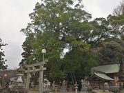 sklfh̑啪{̑叾̓eʐ^1