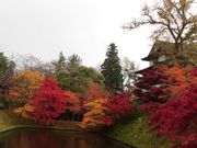 ڂ肳̍OO̍gtEe̓eʐ^4