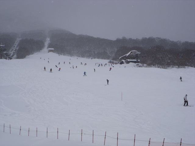 池の平温泉アルペンブリック スキー場】予約・アクセス・割引クーポン