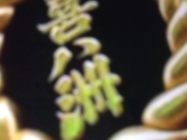 �씪�F_�씪�F���{��