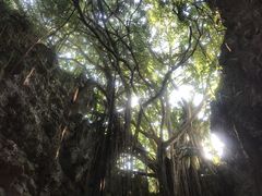 炳炳񂲂̃KK[̒Jւ̓eʐ^2