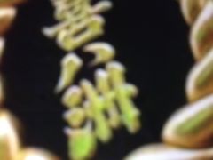 񂯂񂳂̊씪F{܂ւ̓eʐ^1