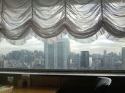 ӂ񂳂CIVIC XJCXg ֎R̓eʐ^2