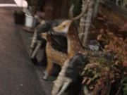 ₳̃GXjbNXg Ceylon Inn̓eʐ^1