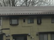 �~���N�ۂ���̂��Ώ� �}�K�̓��e�ʐ^1