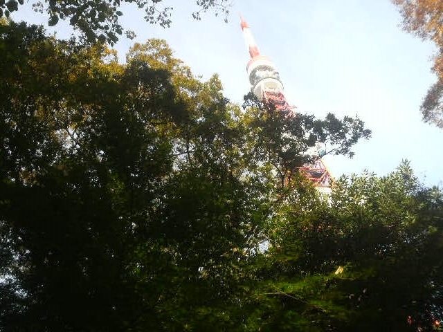 �����^���[�̉��̂��݂��J�ɂ���Ă��܂���_�Ō������݂��J