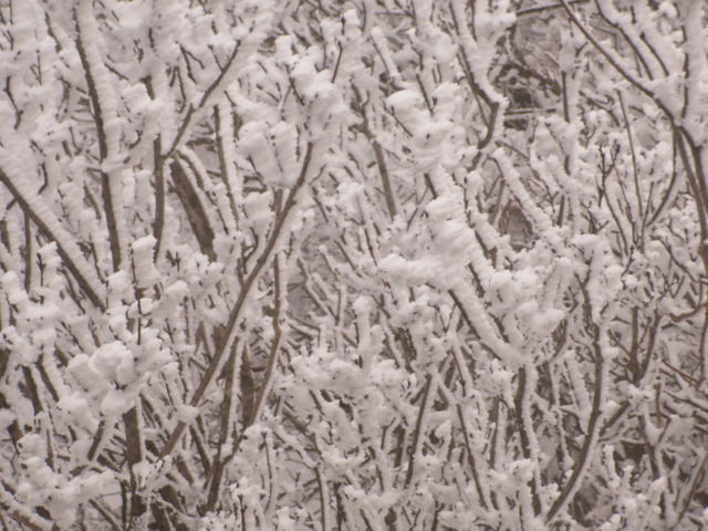 ݏŎX̂ȂƂƕ܂B_ݏ[vEGC