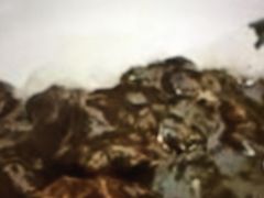 }񂳂̑DJ[{Xւ̓eʐ^1