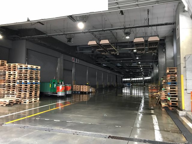 ���������s�� ���Y����_���������s���O�s��