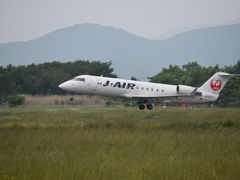 ���邭����̉Ԋ���`�^�[�~�i���ւ̓��e�ʐ^1