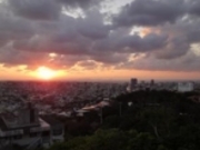 ���p���l������̐��̃A�U�i�̓��e�ʐ^1