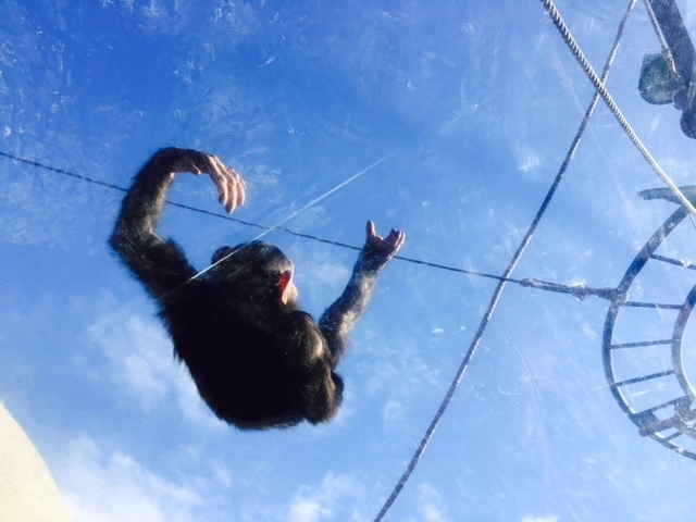 �`���p���W�[_���R������