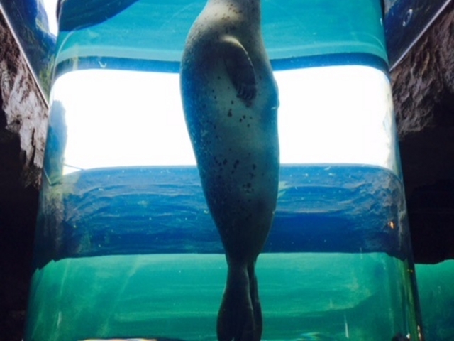 �A�U���V_���R������