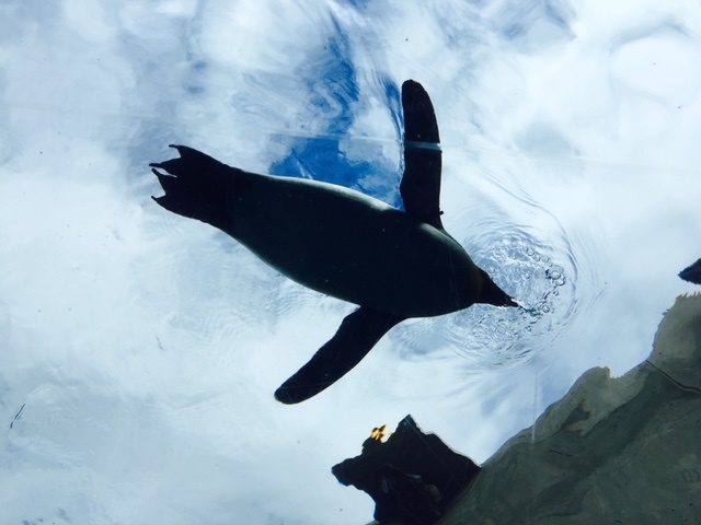 �y���M��_���R������