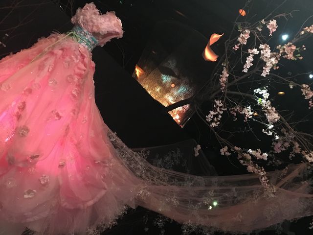 �t�����[�Y�o�C�l�C�L�b�h_���{���O��z�[��