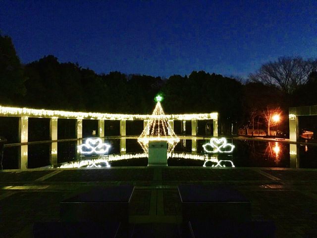 �����Z���^�[�C���~�\�B171230_�����Z���^�[�w